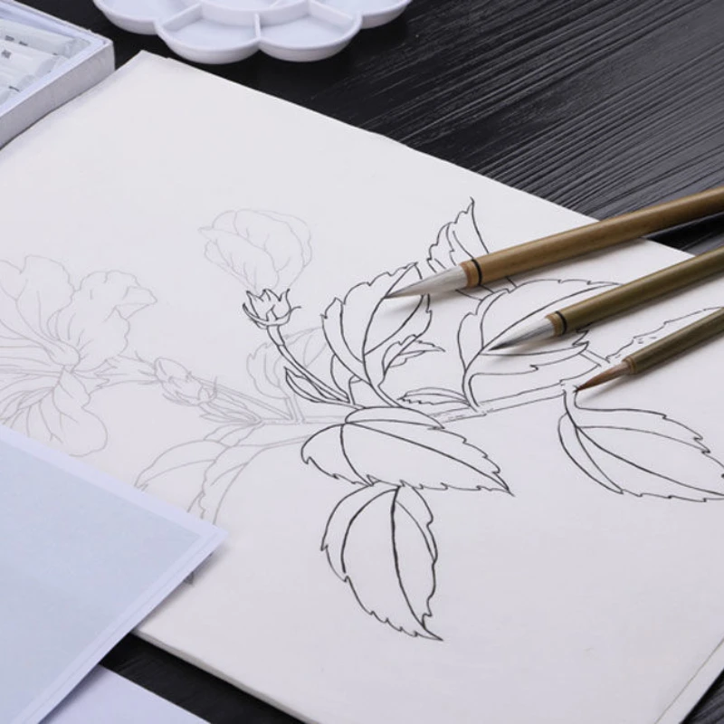 Chinese Painting Copying Draft Ripe Xuan Paper Line Draft Meticulous Painting Coloring Flowers Birds Getting Started Line Drafts