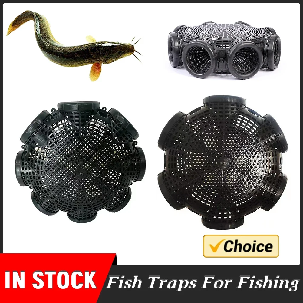 6/8 Holes Crayfish …