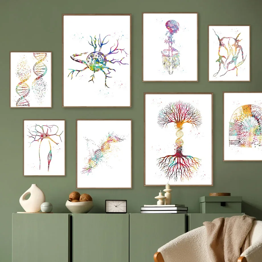 Biology Medical Posters Nerve Cell DNA Double Helix Genetic Wall Art Print Canvas Painting Gallery Pictures Living Room Decor