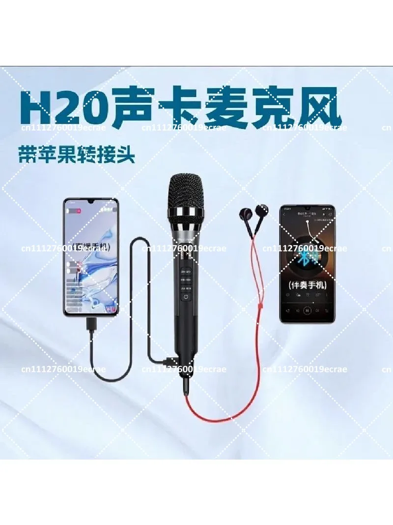 Heart-Shaped Directional Sound Card Microphone for KTV, Home, and Outdoor Singing