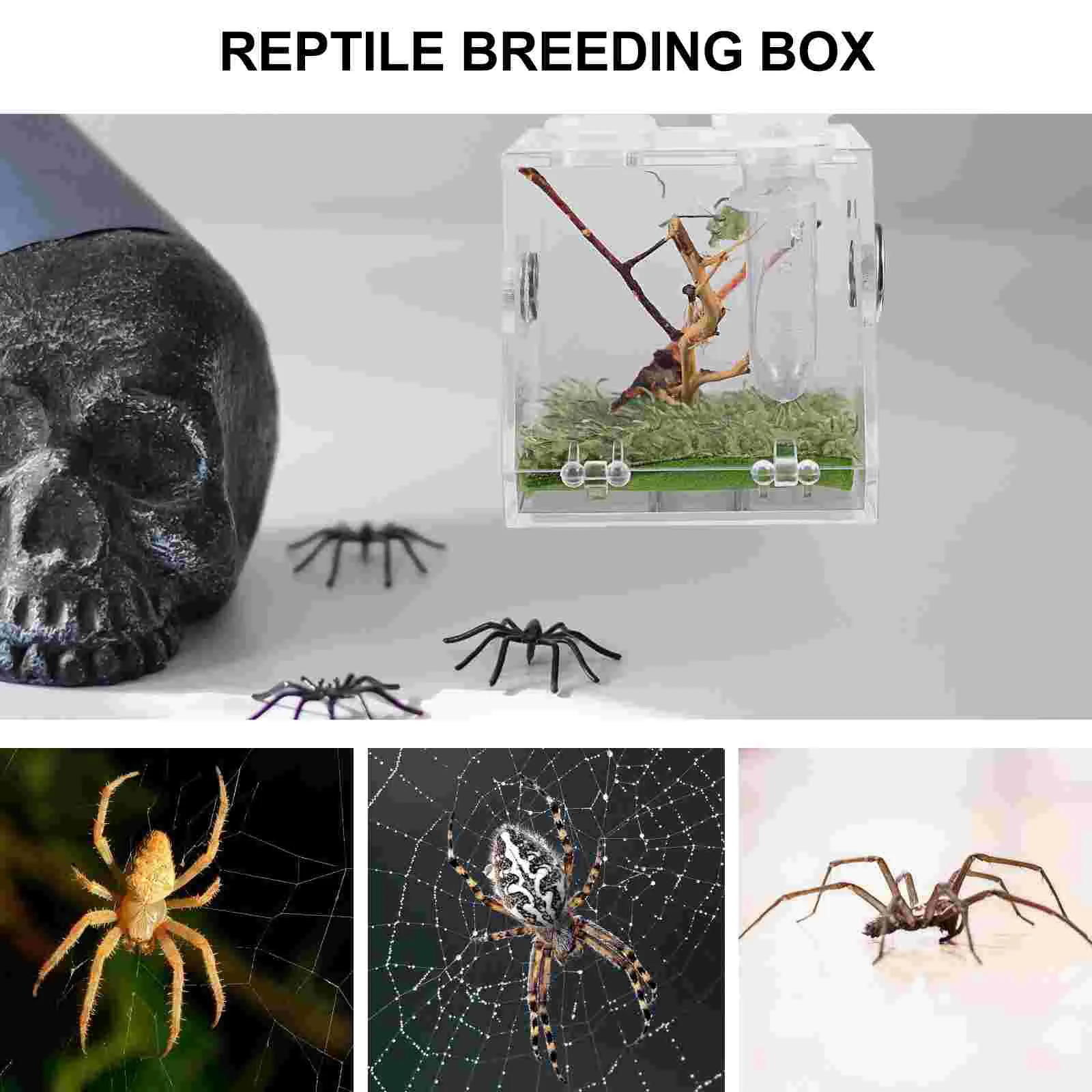 Jumping Spider Breeding Box Reptile Terrarium Cage Case Animal Tool Supply Acrylic Baby Humidifier Pet