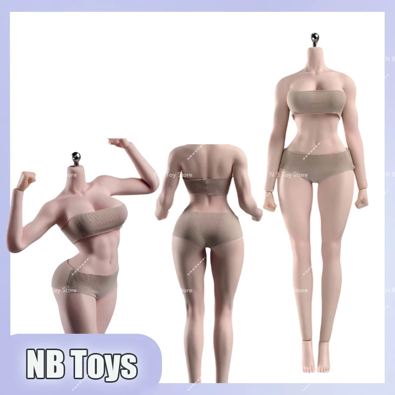 

В наличии: Фигурка ANT T307 1/6, увеличенная грудь, тонкая талия, привлекательный пресс, мускулистое тело, 12-дюймовая женская гибкая экшн-фигурка.