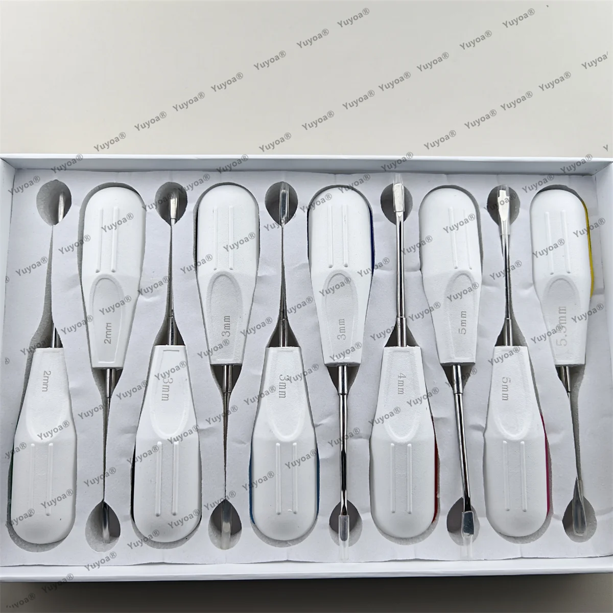 10pcs/set Dental Teeth Extracting Elevator 2/3/4/5/5.5mm Plastic Handle Curved/Straight Surgical Luxating Forceps