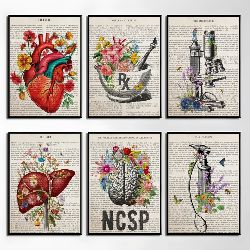 

Flower Organ Anatomy Poster Perfect Sticker Self Adhesive Wall Art Designed for Home Office Dining Spaces