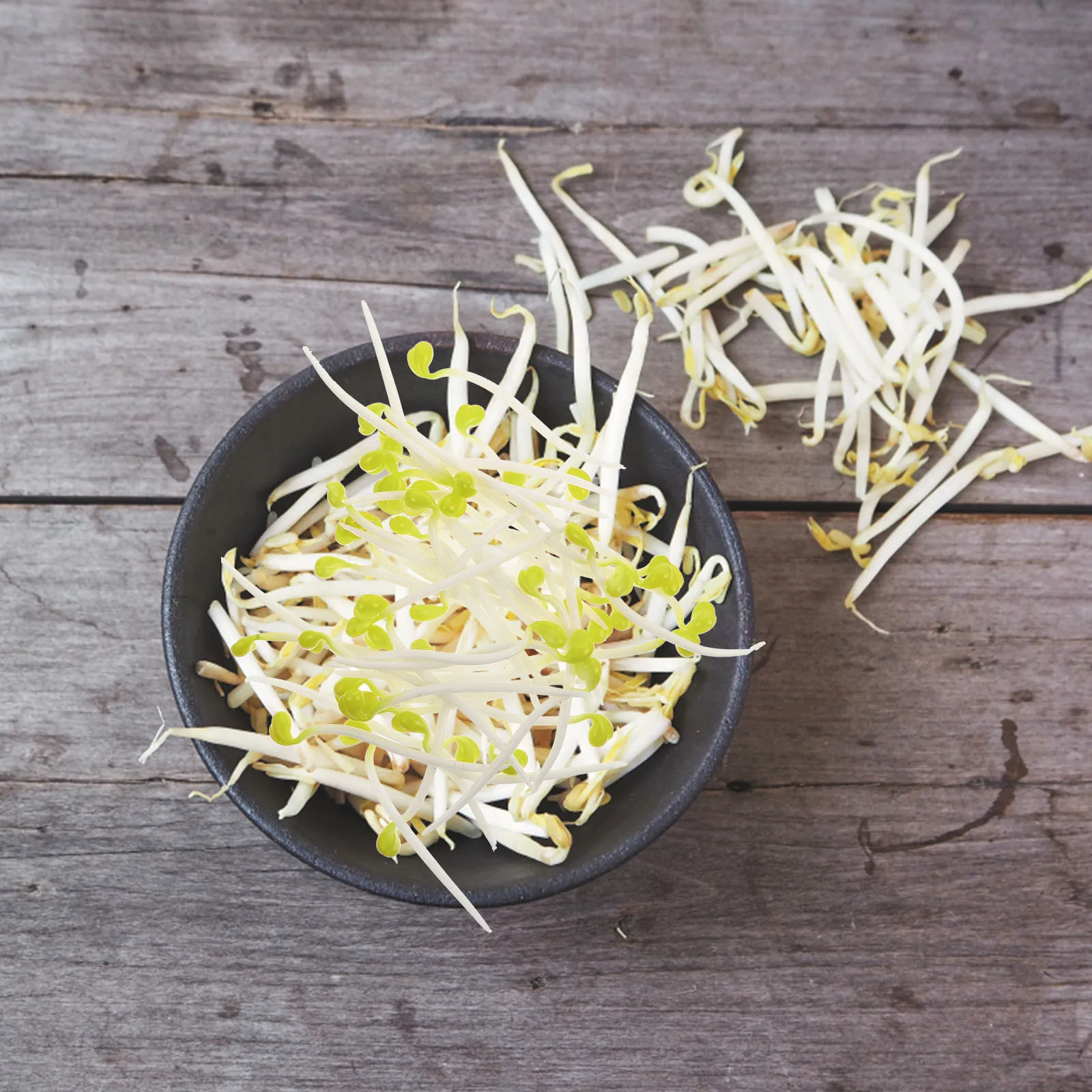 

50Pcs Realistic Bean Sprouts Artificial Decorative Vegetable Photoing Accessory Lightweight Compact Lifelike Sprout Prop