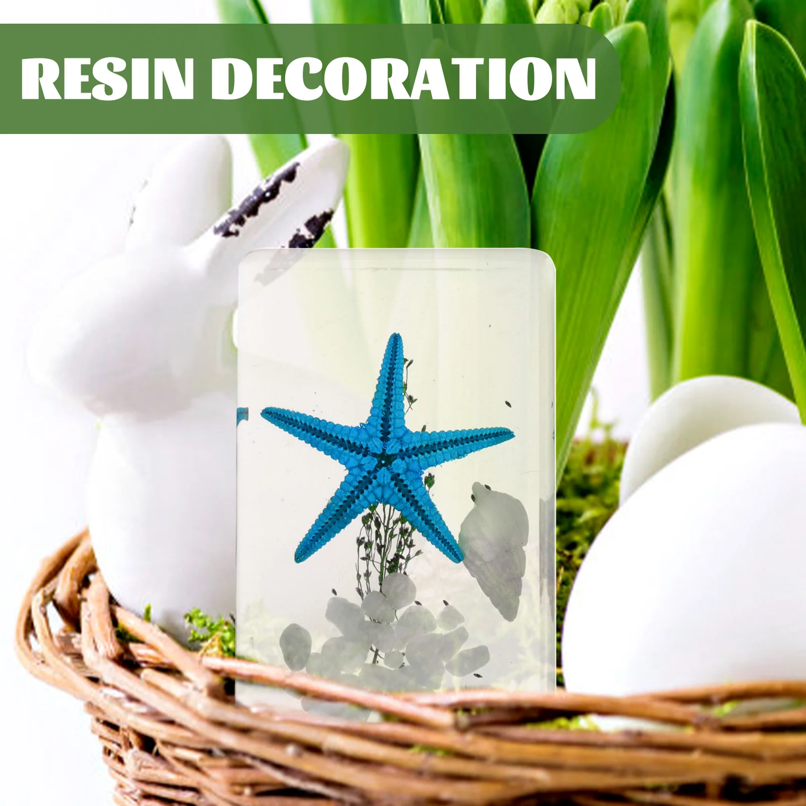 

3pcs Transparent Resin Ocean Animals Desktop Ornament Delicate Marine Specimen Decor Home Office Gift Exquisite Sea Life Craft