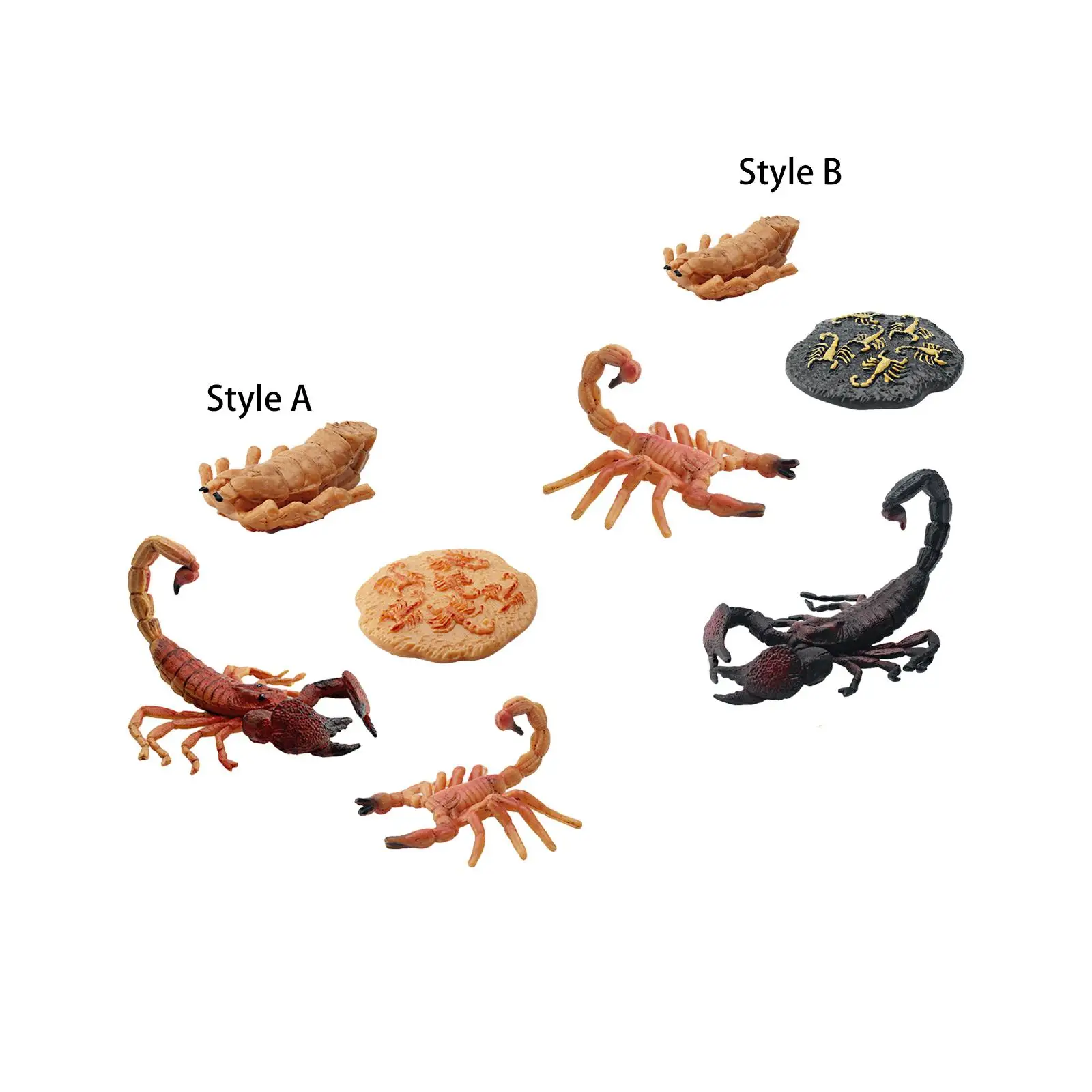 Scorpion Life Cycle Playset, Animals Figurine Toy Realistic Montessori Cognitive