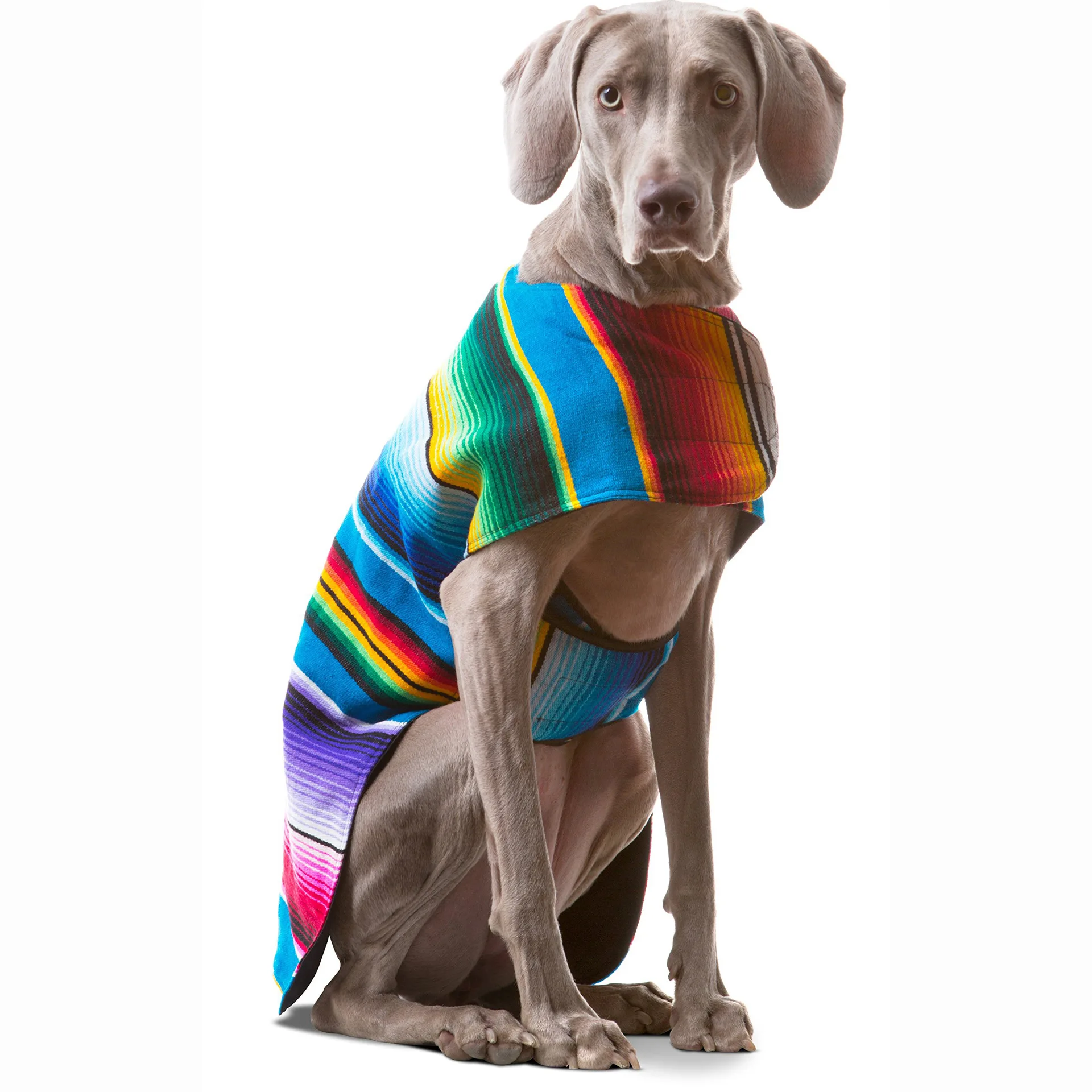 Dog Clothes Funny Dress up Dog Apparel Mexican Dog Poncho Pet Costume Pet Cloak for Carnival Party Holiday Halloween Decoration