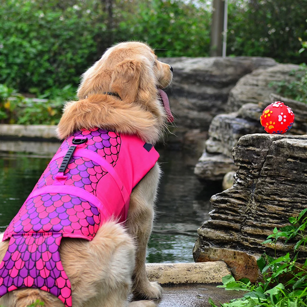 

Pet Life Jacket for Dogs Quick Dry Breathable Material Buckles Fun Fish Design Vest for Water Adventures