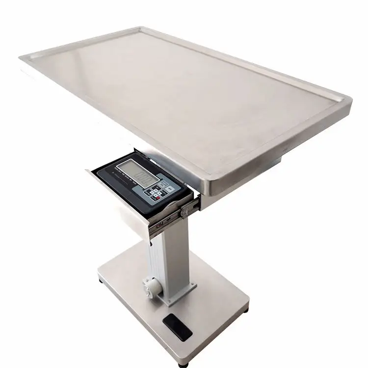 

Constant Temperature Electrical Operating Vet Electric Treatment Table Product Veterinary Pet Treatment Table With Scale