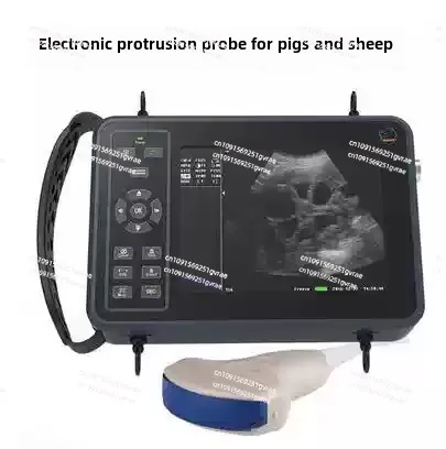 Portable veterinary high definition B ultrasound machine pig sheep cow pregnancy test instrument