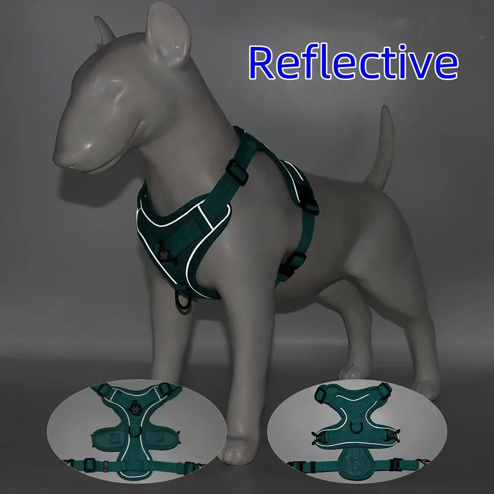 Thumbnail 4 - #9 Best Dog Harnesses to Buy In 2026