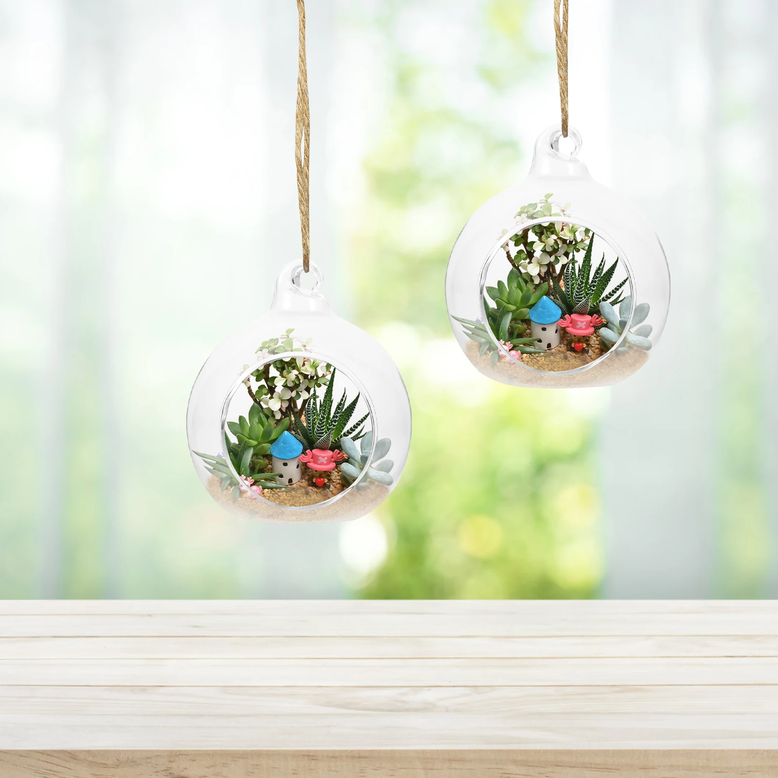 Hanging Glass Terrarium Globe Plant Air Holders Planter Holder Plants Succulent Vase Hydroponic Wall Globes Container Pot