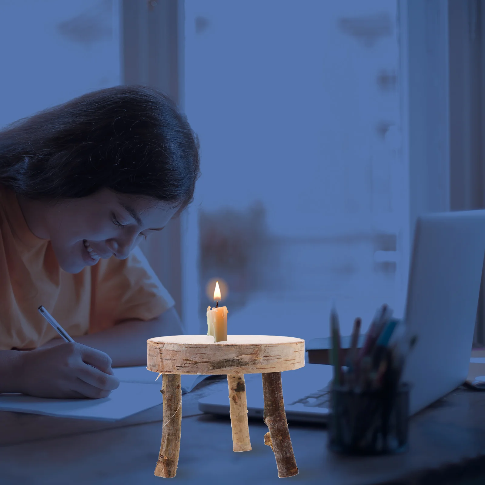 

Birch Small Table Unfinished Wood Slice Photo Prop Craft Ornament Rustic Home Decor Wooden Stand Vase Plant Centerpiece