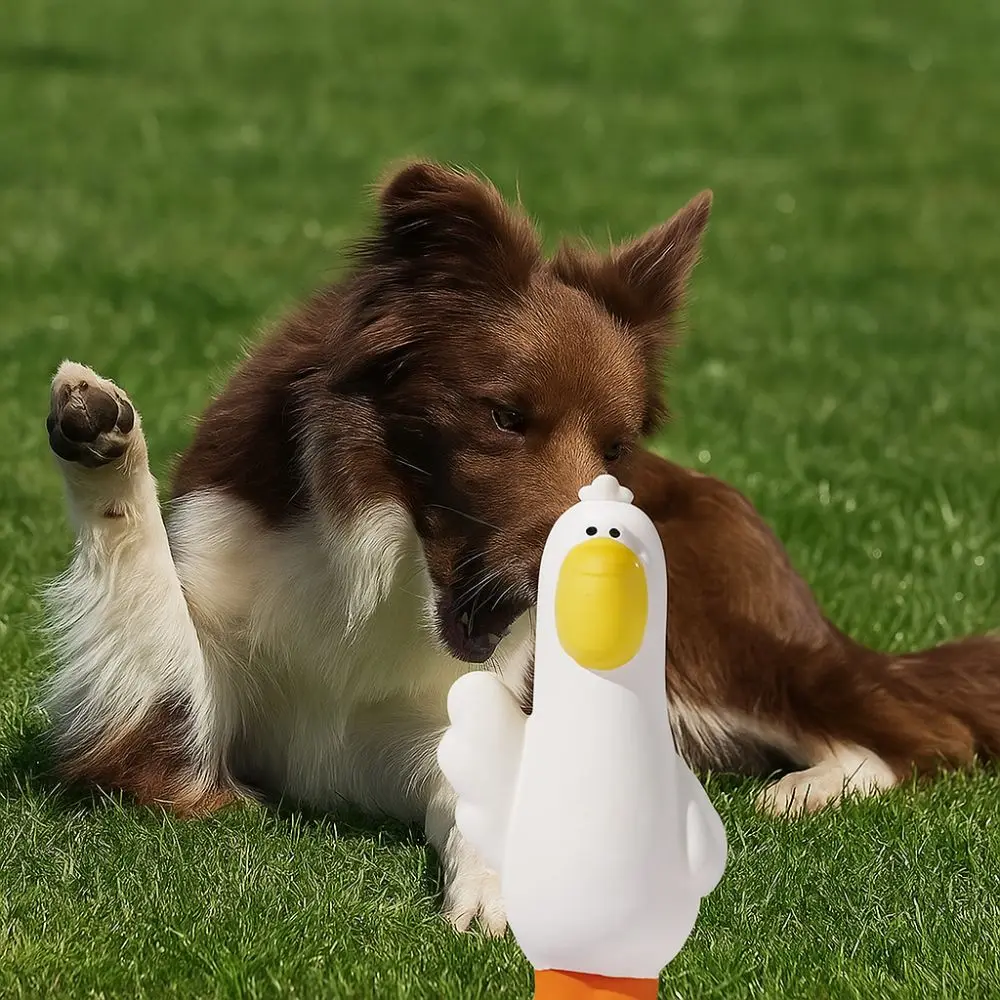 

Funny Cartoon Pet Latex Toys Pelican Shape Bite Resistant Dog Chew Toys Washable Squeaky Dog Toys Training