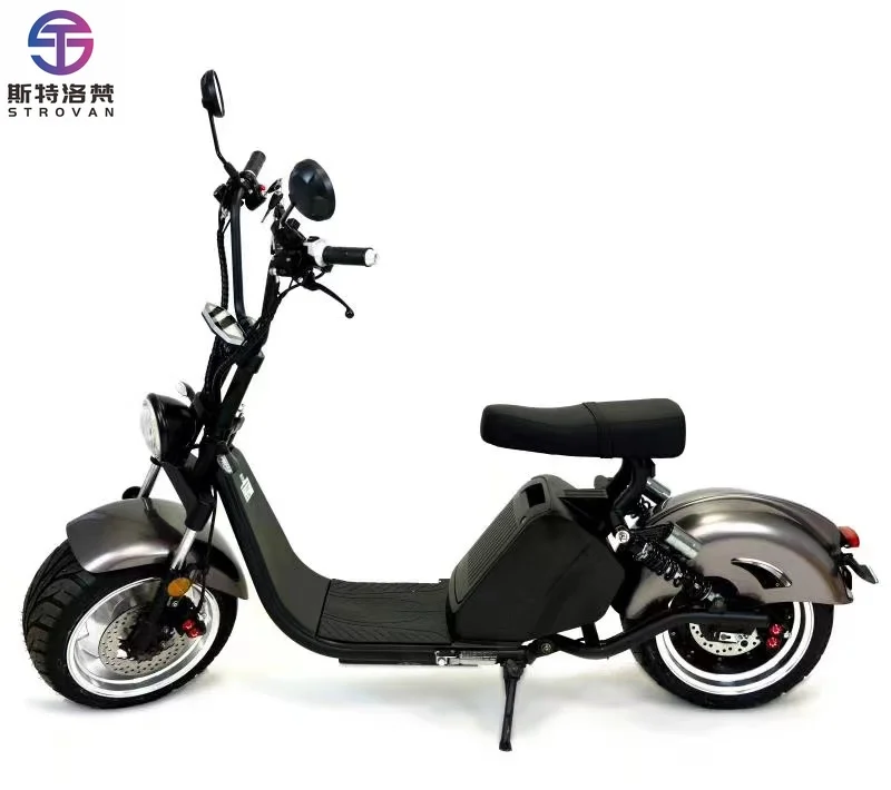 HL-3.0 Citycoco EEC US Door Shipping 1500W 3000W 20AH Double Seat Adult Road Approved Scooter
