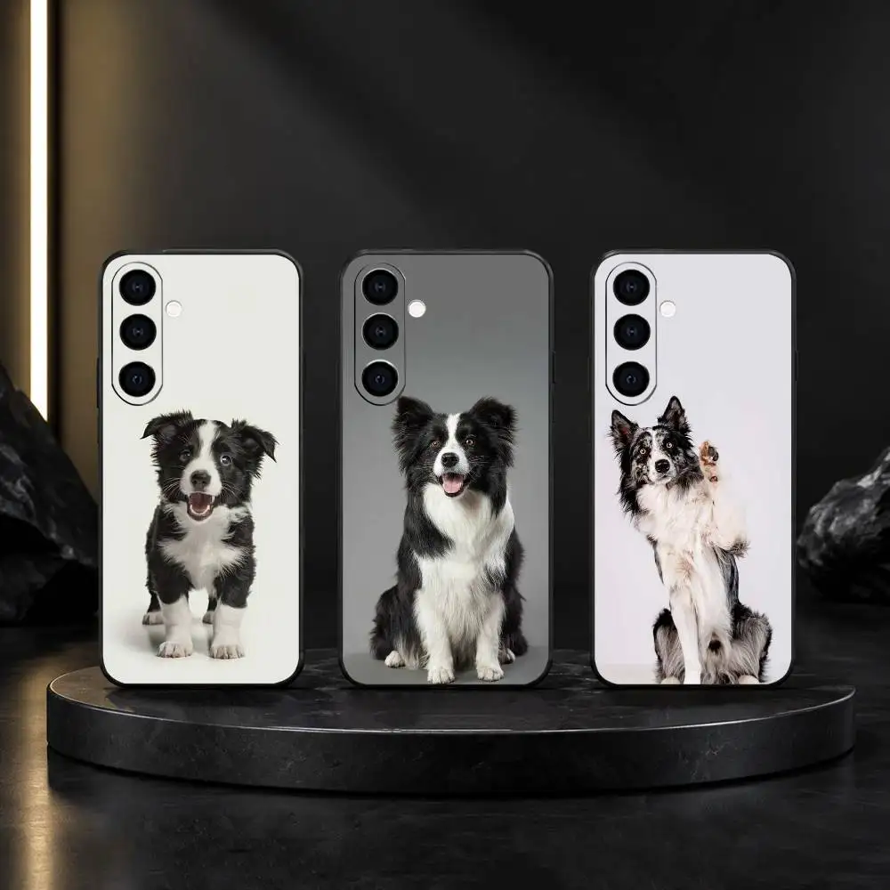 Stylish B-Border Collie-S  Phone Case For Samsung Galaxy A20,21s,22,31,32,52,53,72,73,80,91 Soft Black Shell