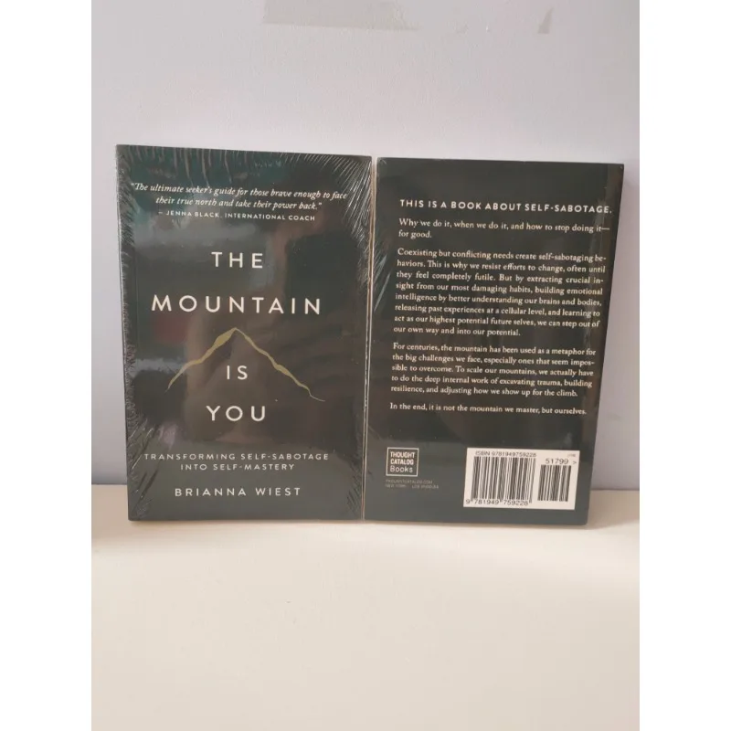 The Mountain Is You: تحويل الانحراف الذاتي إلى كتب اللغة الإنجليزية ذاتية التغلب #2