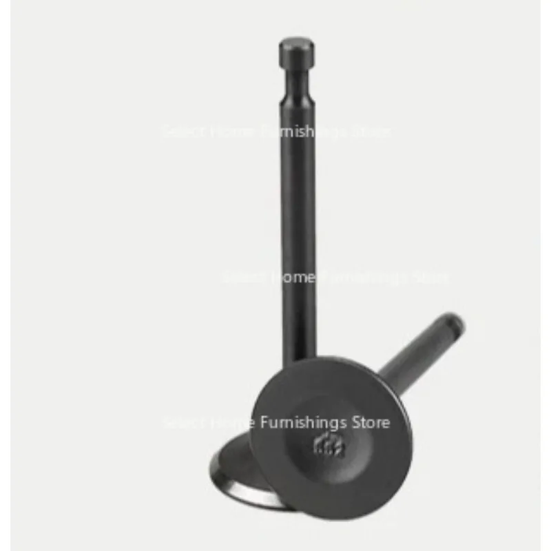 Suitable for Micro Tiller Generator Household Suction Pump Valve Rod Cylinder Head Intake and Exhaust Valve
