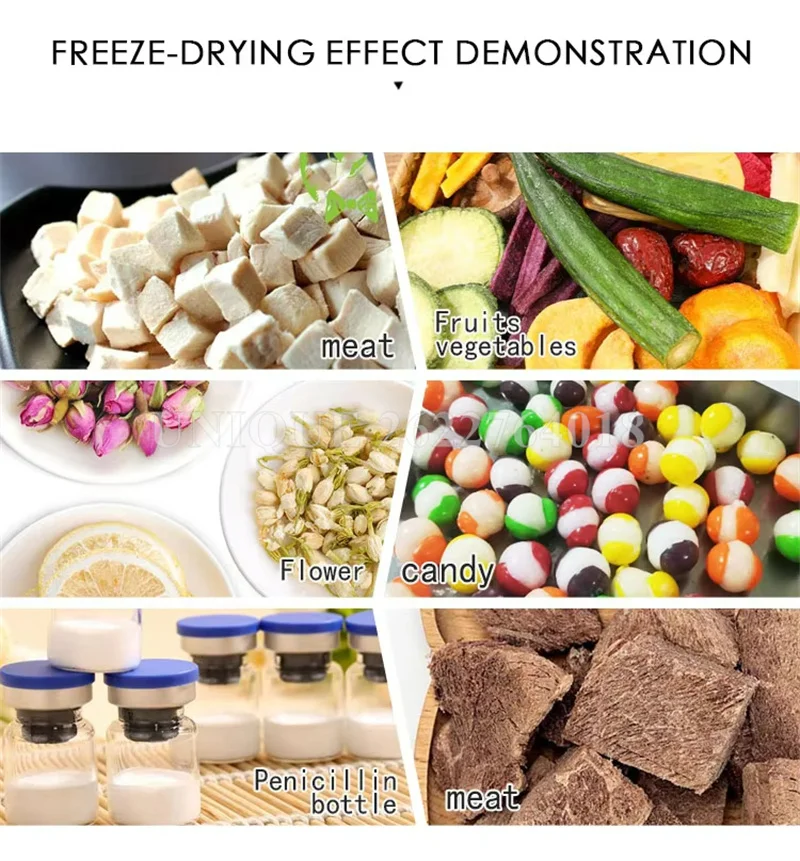 Commercial Vacuum Lyophilizer Freeze Dryer Fruit Vegetable Food Freeze Drying Equipment Vertical Chemical Freezer Dryer for Lab