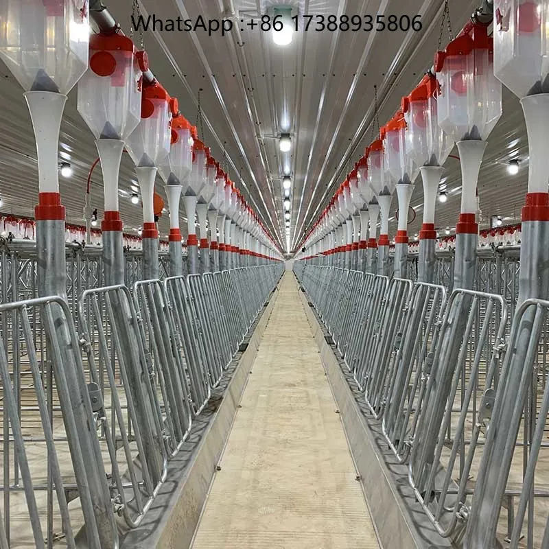 Complete Pig Farming Equipment Project Design