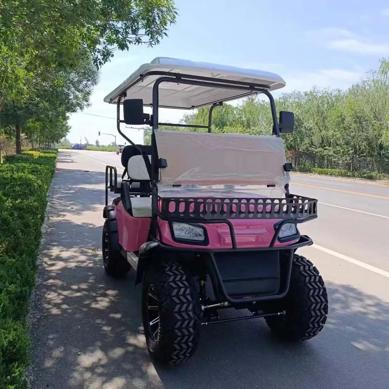 شاندونغ مبيعات المصنع مباشرة 2 + 2 مقاعد عربة جولف كهربائية مع محرك تيار متردد قوي 5KW