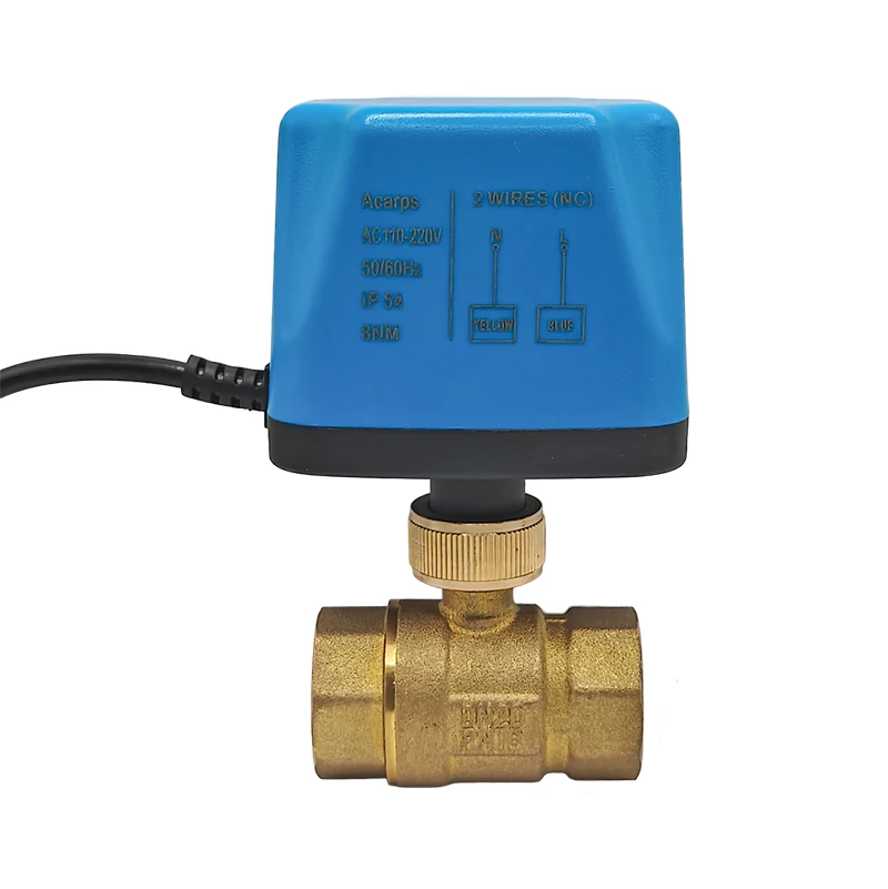 Acarps Vollmessing Motorisiertes Kugelventil Normalerweise Geschlossen/Normalerweise Offen 2-Draht 1/2' 3/4' 1' Innengewinde 12V 24V 110V 220V – Detail 12