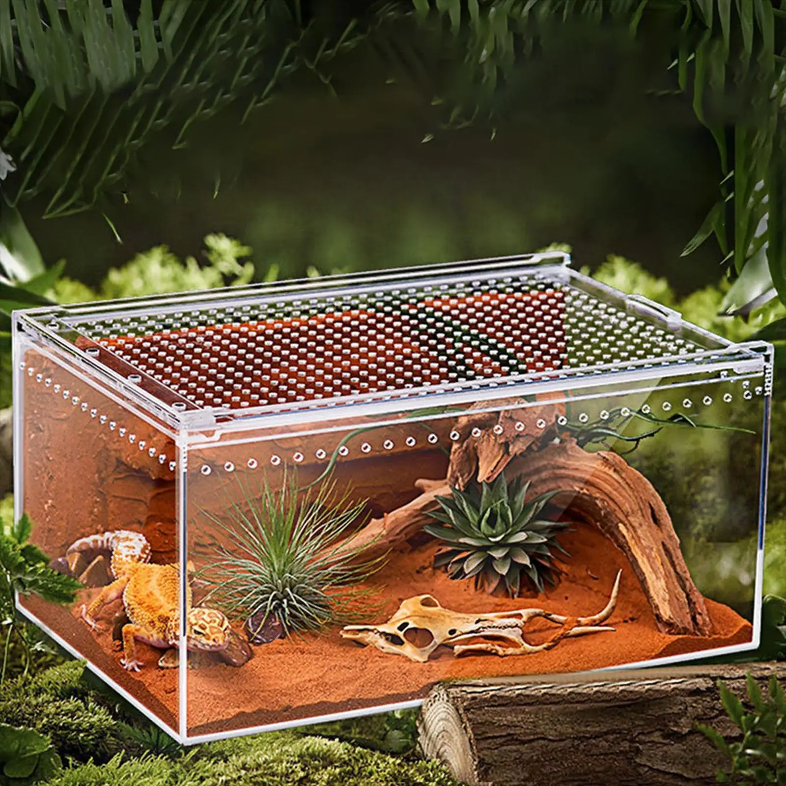 

Reptile Terrarium Sturdy Lightweight Clear Turtle Tank Transparent Reptiles Cage for Tortoise Snakes Turtle Amphibians Terrapin