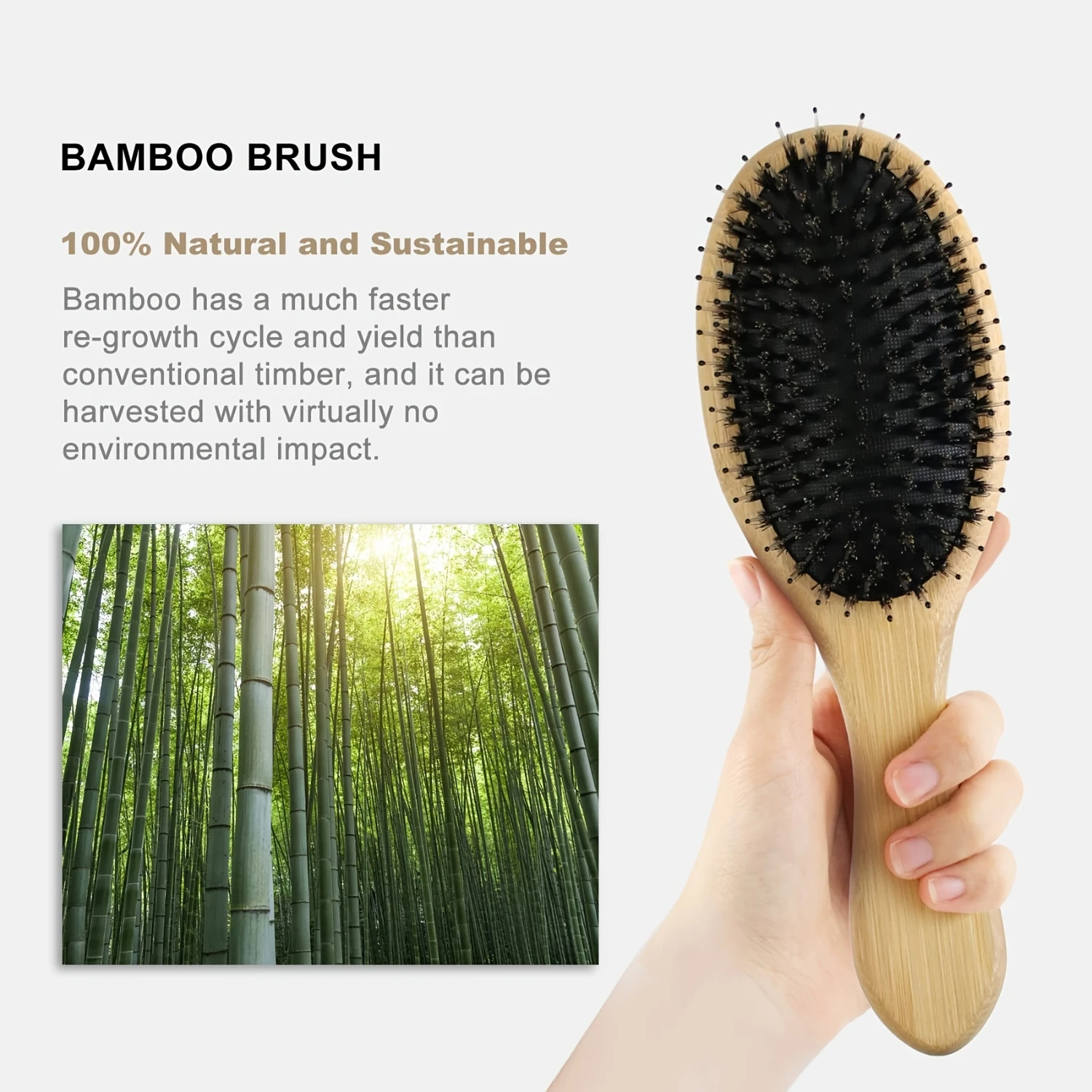 3pcs/SET Boar Bristle Brush For Thin Fine Wet/Dry All Hair Type, Wooden Boar Bristle Hair Brushes For Women Men Adds Shine Smoot