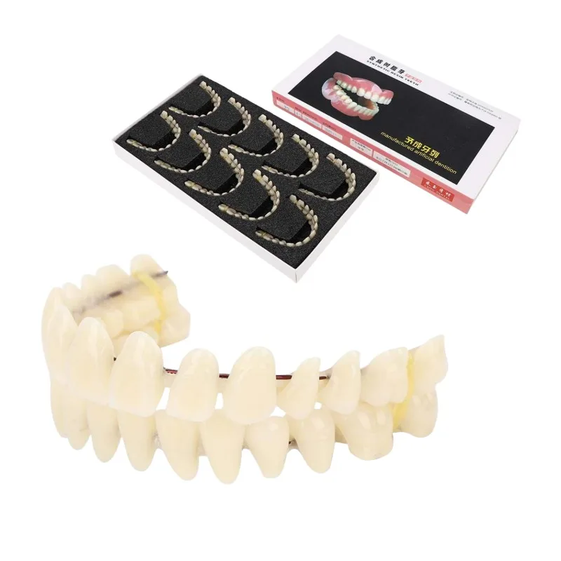 

10pcs Dental Artificial Teeth Training Models Plastic Denture Upper Lower Teeth Preformed dentists Teaching Models Pack of 10