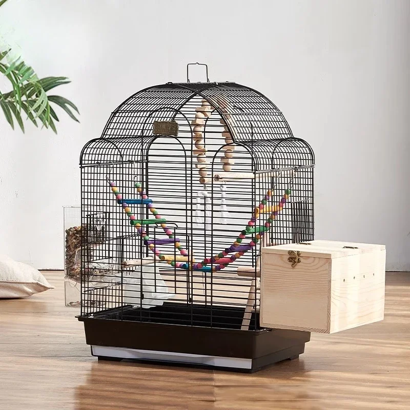 

Tigerskin Parrot Bird Luxury Large Model Villa Myna Large Peony Myna Breeding