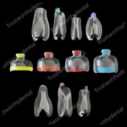10Pcs Dental Clear Matrix Anterior Posterior Fits Bioclear Transparent Matrices Teeth Molar Bow Class Restoration Black Triangle