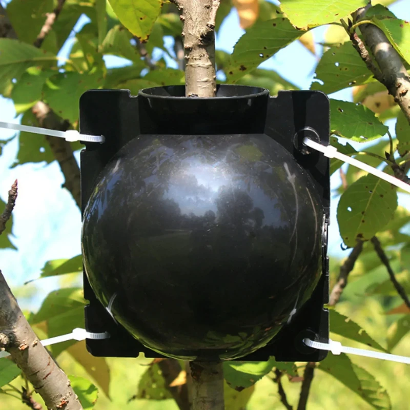 5Pcs Plant High-pressure Grafting Box Rooting Device Breeding Ball Incubator,Stable and Durable,Easy To Disassemble,gardening