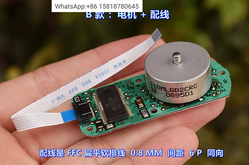 10Pcs Japanese (For…