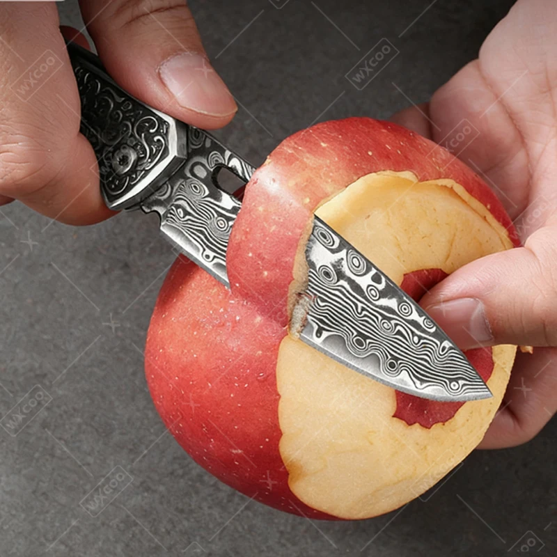 WXCOO Damascus Pattern Folding Knife Multi-Purpose Kitchen Knife Fruit Paring Utility Tool Stainless Steel Pocket Ftuit Knife