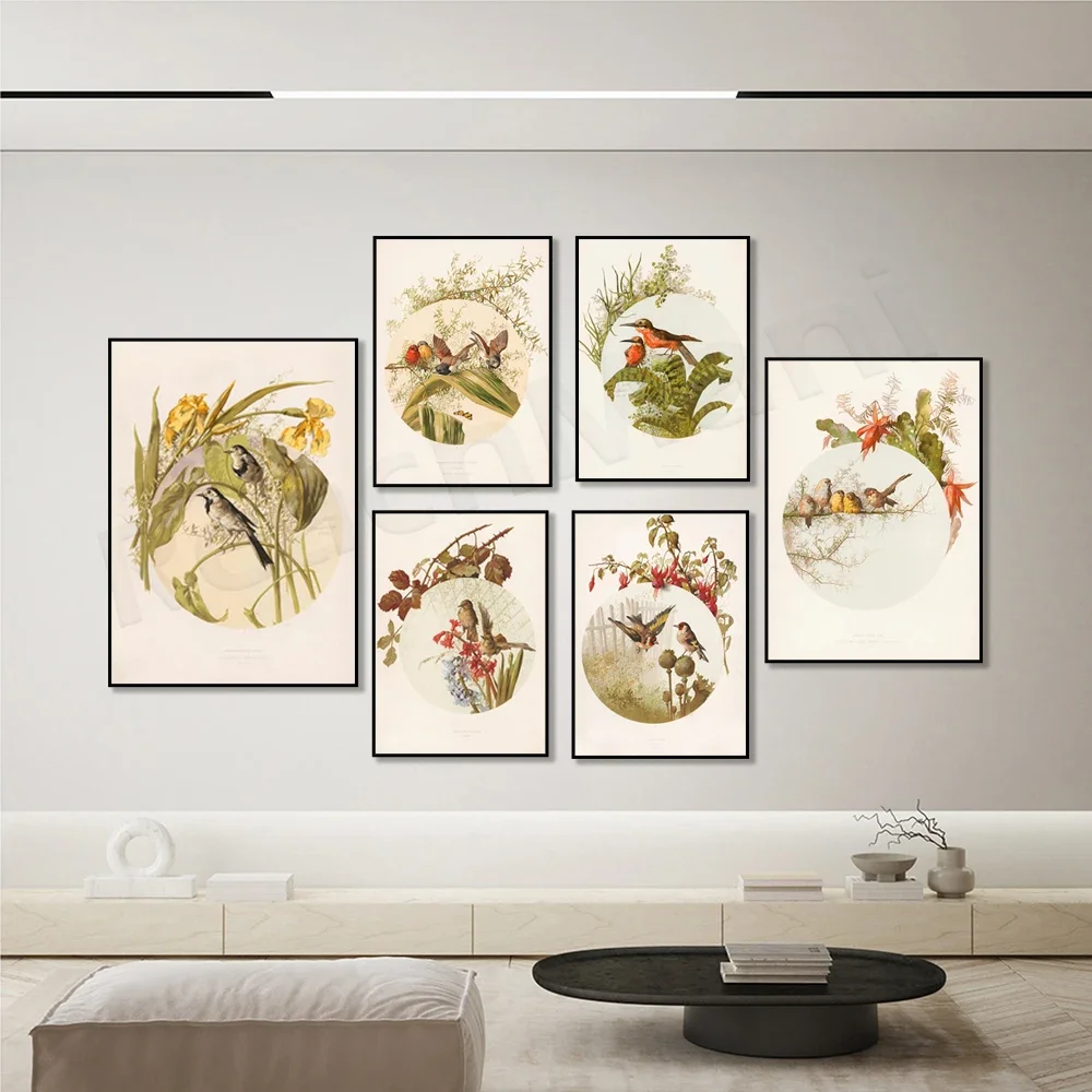 Garden birds poster, goldfinch bird, beaked warbler bird and hyacinth flower, four bengal birds, audubon bird print decoration,