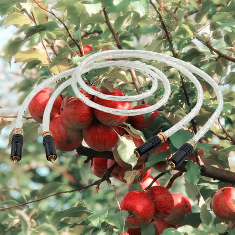 

Reference-Grade Silver-Plated Conductor Balanced XLR Cable - Dual-Layer EMI Shielding & WBT Terminals​