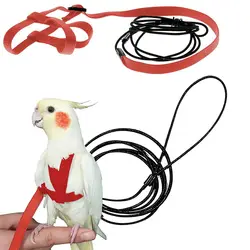 Parrot Bird Harness Leash Outdoor Flying Traction Straps Band Adjustable Anti-Bite Training Rope Outgoing Leash For Parrot