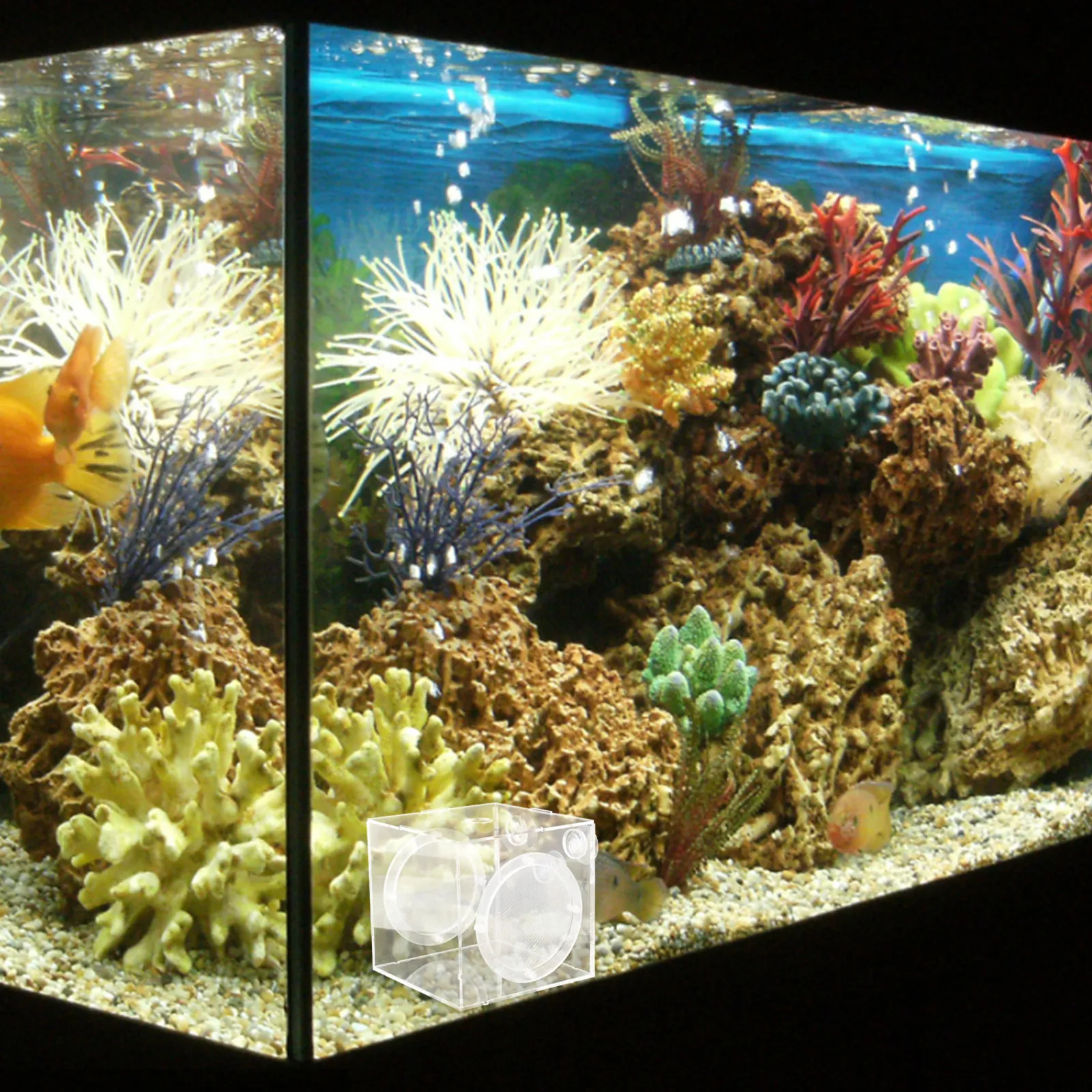 

Acrylic Fish Breeding Box for Aquarium Transparent Hatchery Incubation Box for Guppy Fry Isolation Breeding Tank Accessory