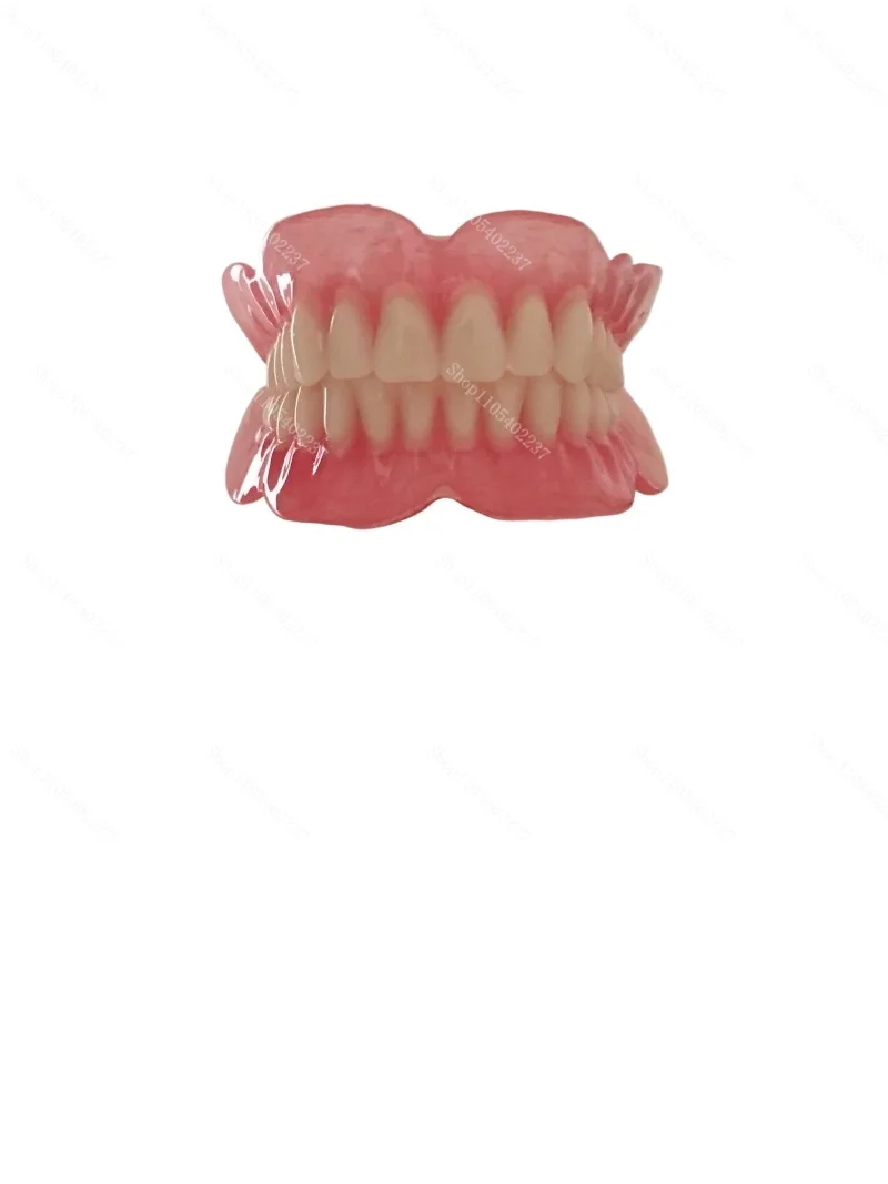 Dental Teeth Model Full Mouth Half Mouth Denture Sample Study Teaching Model for Dentist Training Clinic Education Demonstration