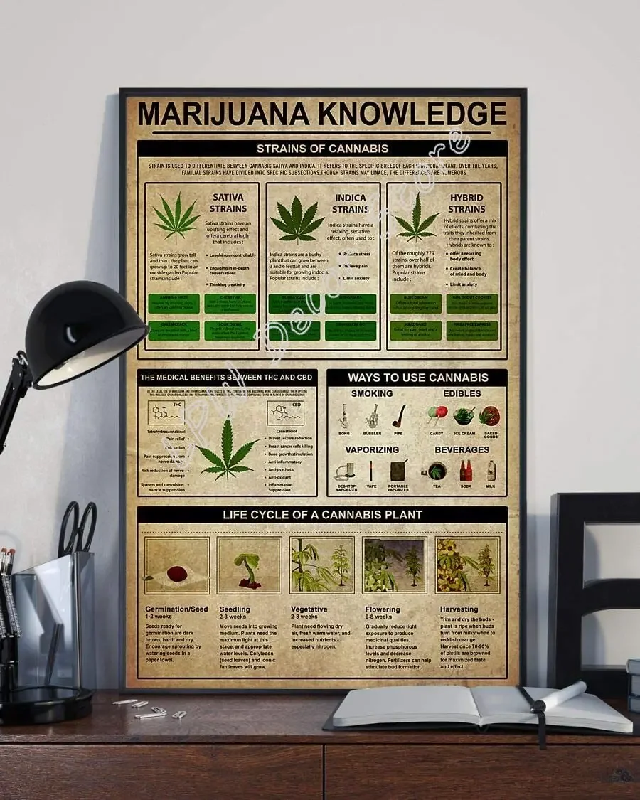 Knowledge strains of  Poster Metal Tin Signs Retro Metal Signs Vintage