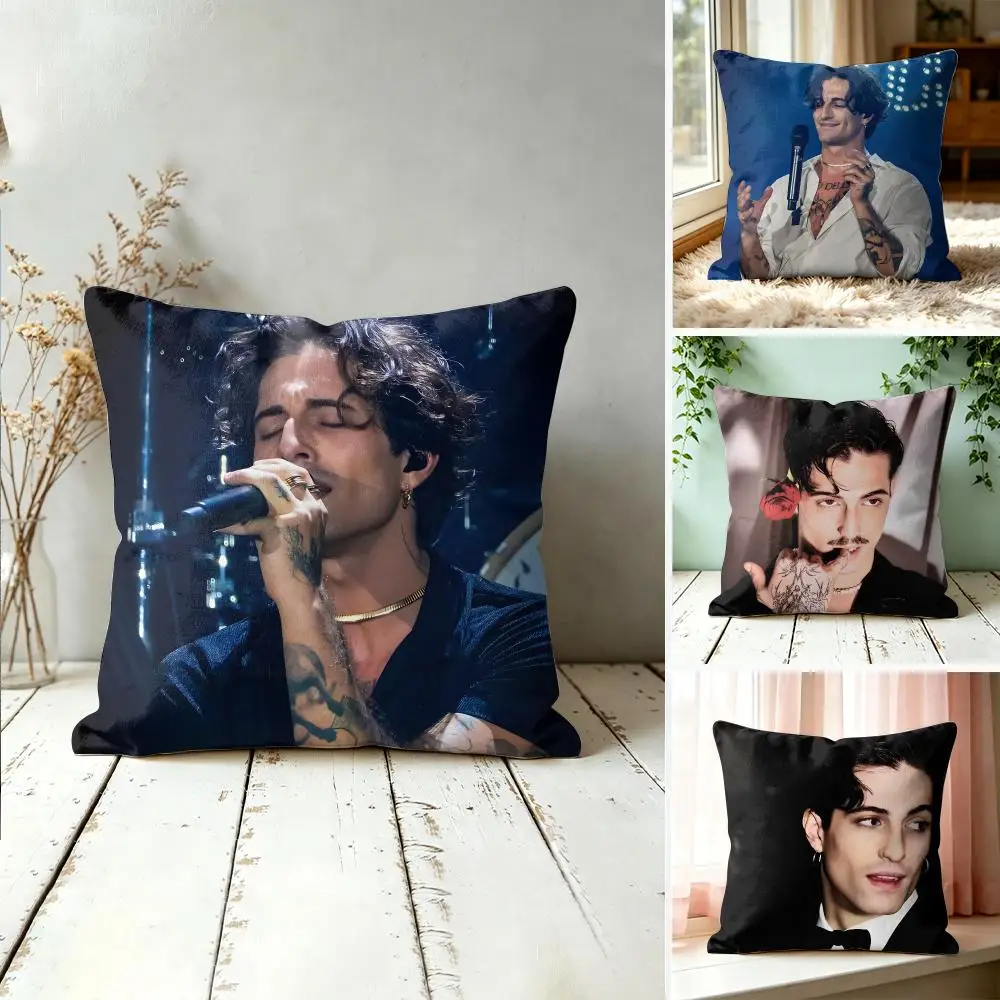 Singer D-damiano David Cushion Cover Wrinkle-Resistant Short Plush Cushion Covers Breathable Machine-Washable