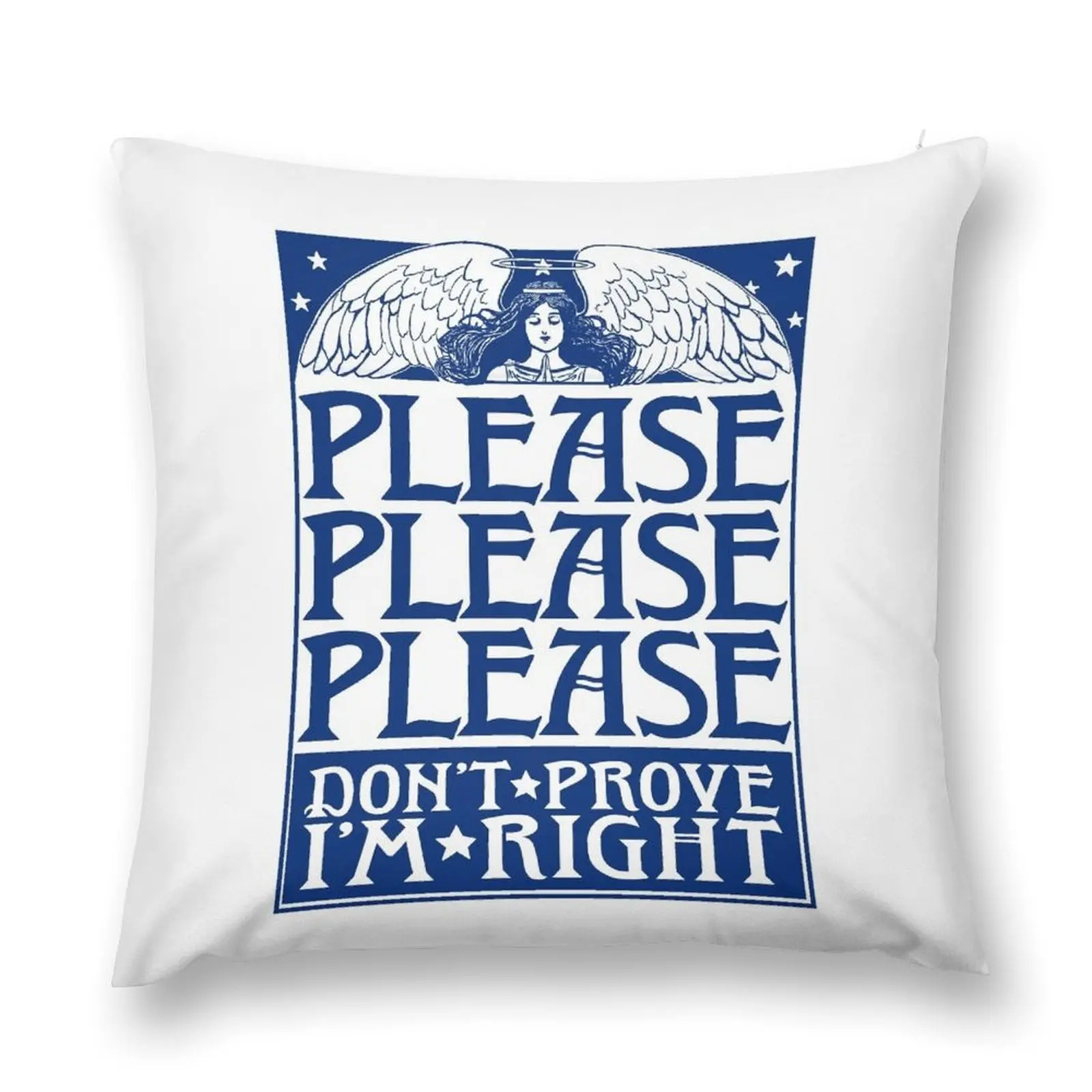 

Please Please Please Throw Pillow Covers For Sofas Sofa Cover Cusions Cover pillow