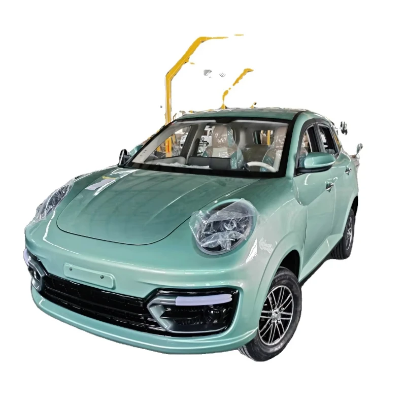 

High-quality 3500w new energy vehicle adult 175 aluminum 4-wheel electric vehicle mini car