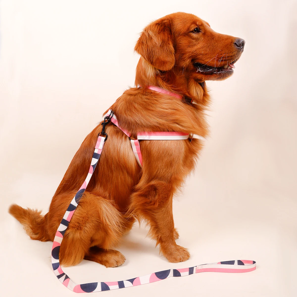 1PC Fashionable Pet Chest Harness, Dog Leash For Walking Outside, Anti-breakaway Dog Collar, Three-piece Set Of Dog Tract