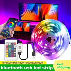 Usb Led Light 5050 Wifi Bluetooth Music Rgb Tape Smart Tv Backlight 5V Room Decoration White Ribbon Bedroom Lighting 30M Diode