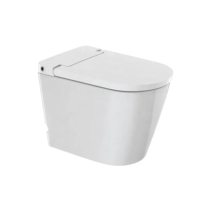 High end 110V bathroom sanitary ware tankless siphonic s-trap toilet intelligent toilet wc back to wall