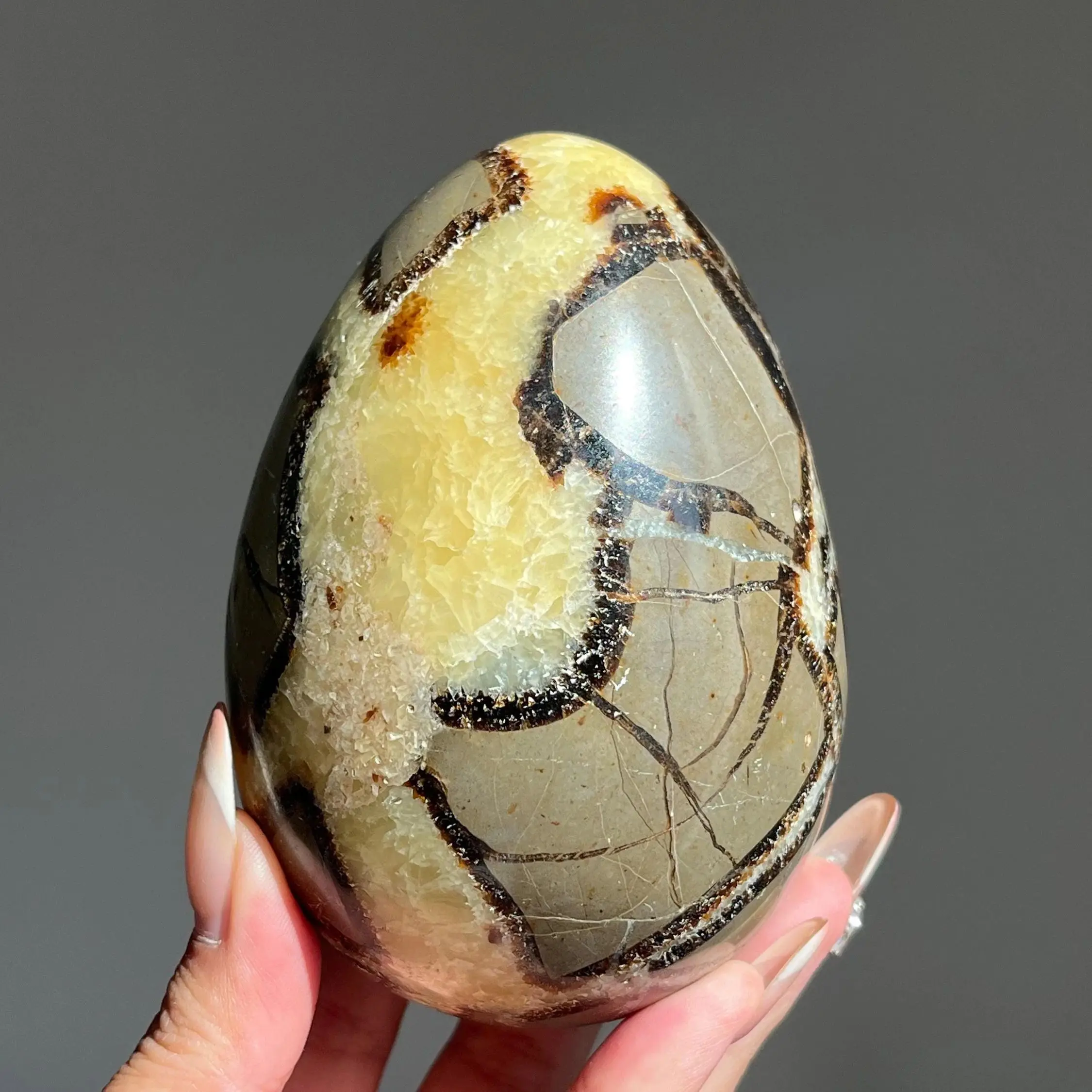 High-Quality Turtle Back Stone Egg, Natural Septarian Crystal Egg, Polished Healing Mineral Home Decor Ornament Gift
