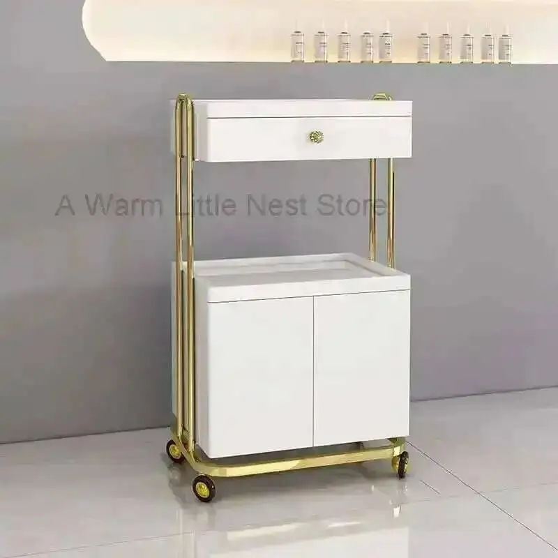 

Salon Utility Beauty Tattoo Barber Hair Trolley Salon Tool Trolleys Cosmetic Spa Salon Furniture Auxiliary Storage Cart F
