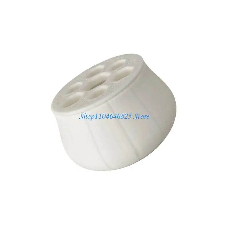 

Hydroponic Onion Cultivation for Easy Soil Without Gardening Plastic Planter